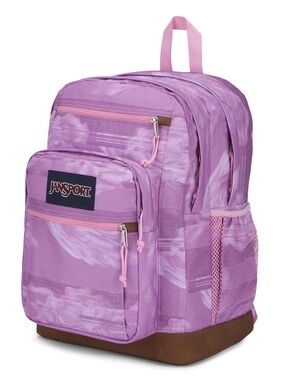 cool student backpack jansport purple striped Big curve shoulder straps JanSport Big Student Kids Laptop